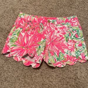 Lilly Pulitzer Buttercup Koala Me Maybe shorts Size 8